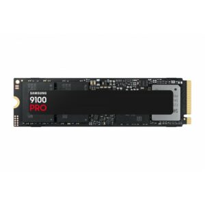 HARD DISK SSD 2TB 9100 PRO M.2 NVME (MZ-VAP2T0BW) - Fg9 systems